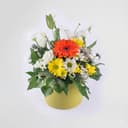 Product carousel Indicator